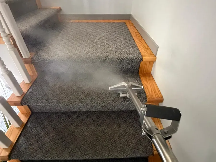 Steam rising as an extraction wand cleans grey carpeted stairs in a home