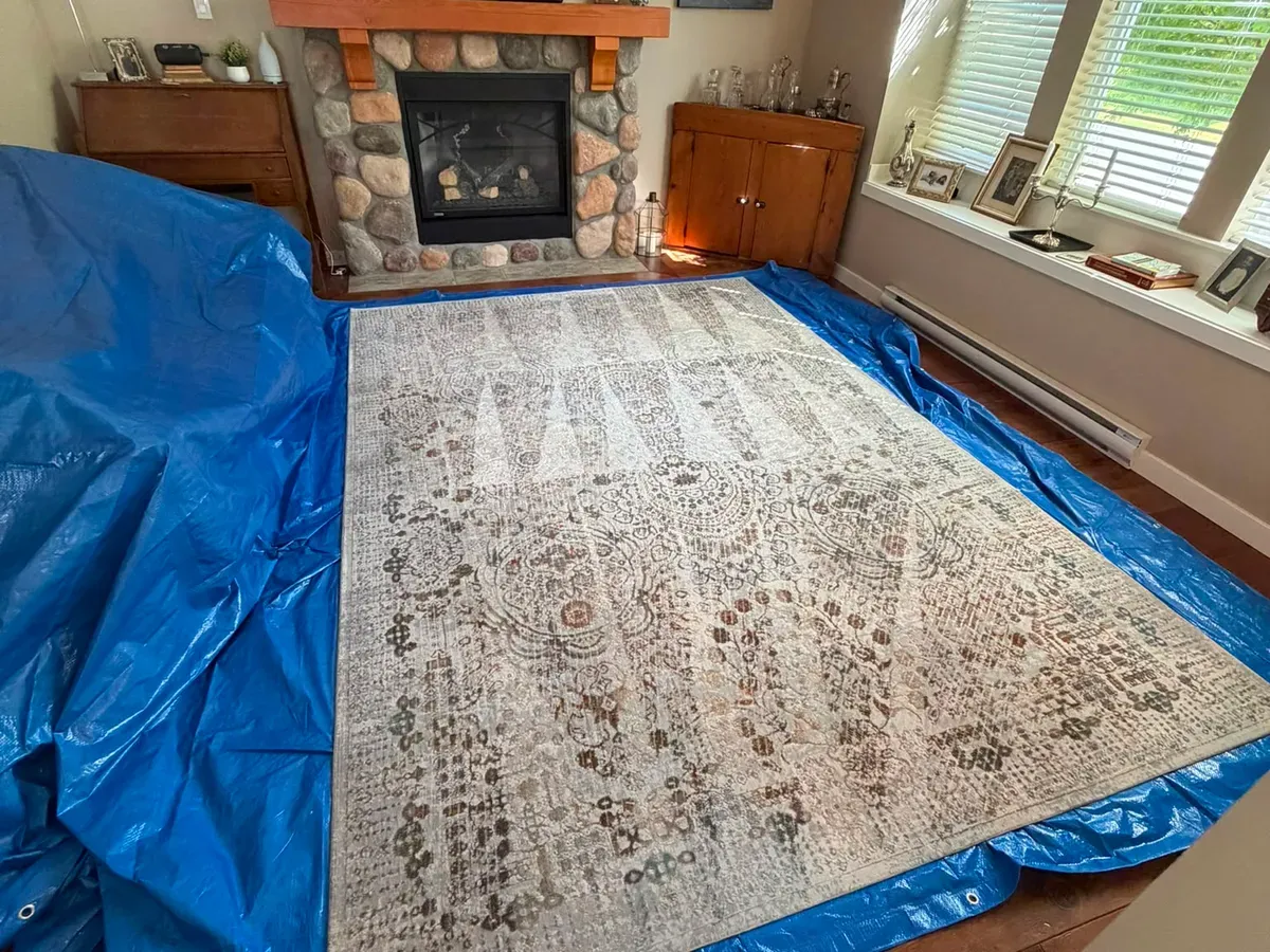 Area rug laid out on tarp protection during cleaning in a Langley living room