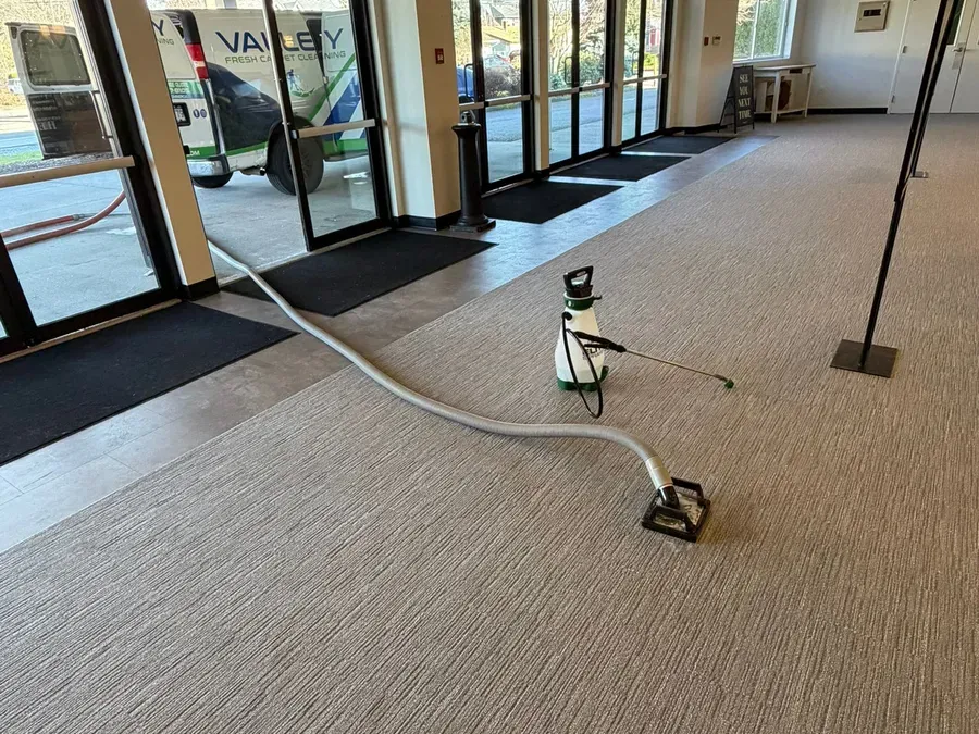 Truck-mount hose and sprayer on fresh broadloom in a commercial lobby