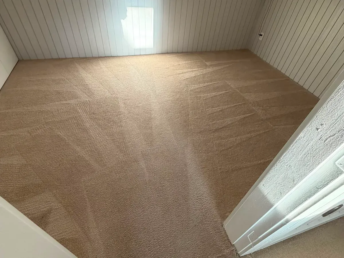 Freshly cleaned bedroom carpet with wand strokes visible in a Langley home