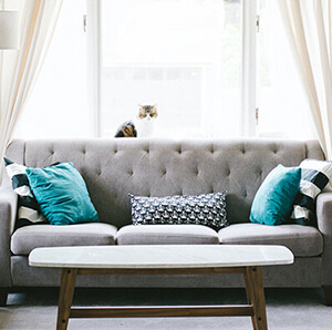 A gray tufted sofa with teal and patterned pillows in a bright living room, a small cat peeks out from behind curtains by a window.
