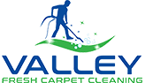 Logo of Valley Fresh Carpet Cleaning featuring a stylized blue figure cleaning a green leaf with sparkles, set against white text.